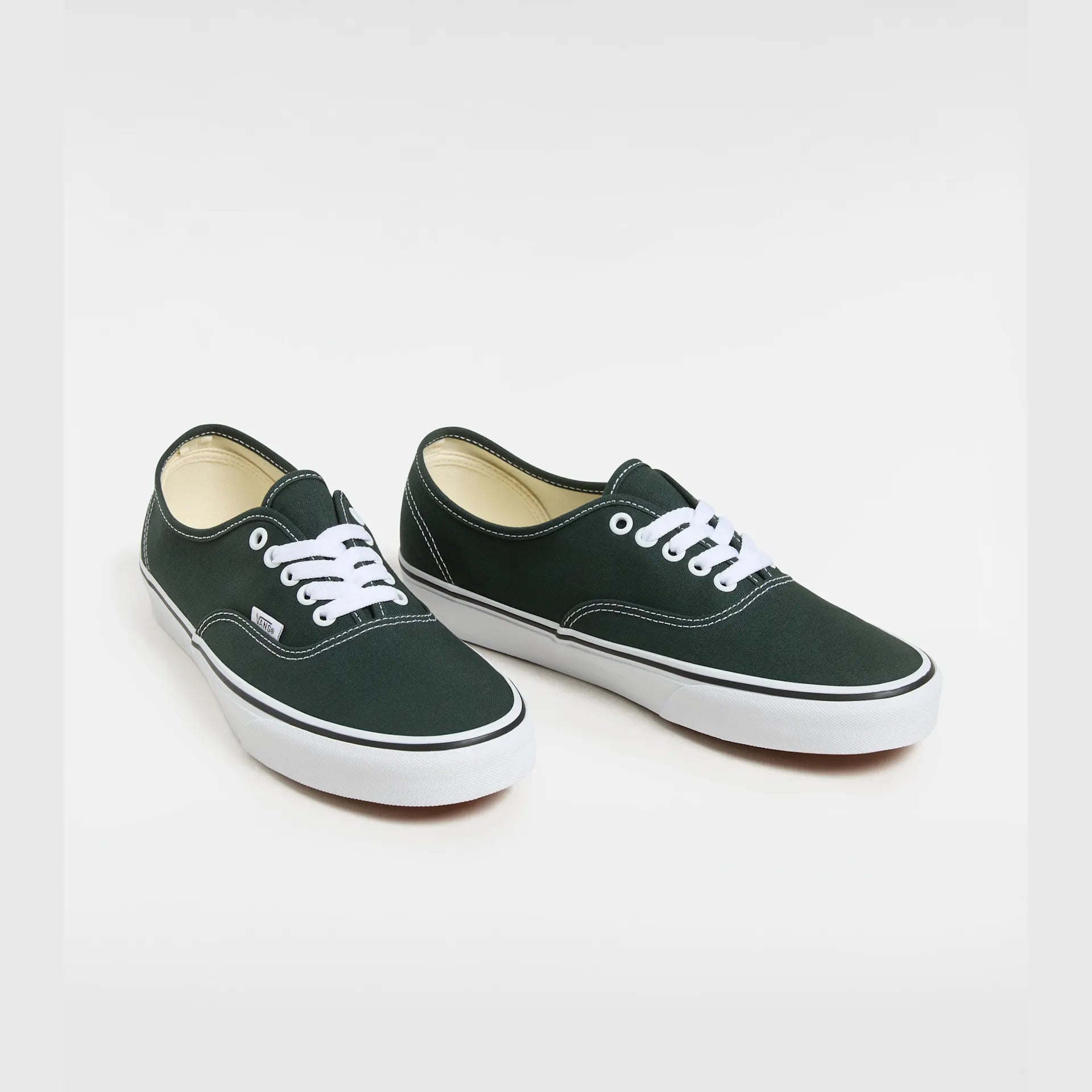 vans-authentic-color-theory-scarab-vn000d7yprm1-2