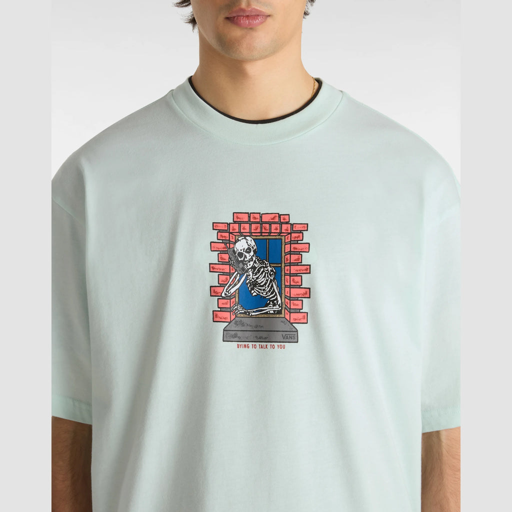 vans-skull-window-ss-hint-of-mint-vn000nhurne1-6